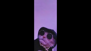 Boosterz Inc  - Freaky Stuff! Original Mix