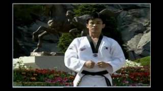 Taekwondo (22).avi