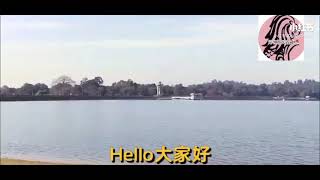 新加坡工业厂房投资全解