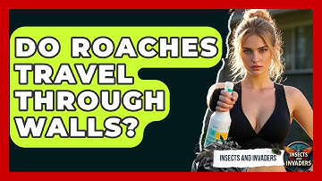 Do Roaches Travel Through Walls? - Insects and Invaders