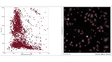 Drug Dose-Response & Live-Cell Tracking | Live Cell Imaging made Easy