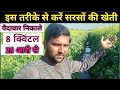 सरसों की पैदावार 2 गूनी करने का आसान तरीका|| सरसों की नई किस्में|| sarson ki kheti