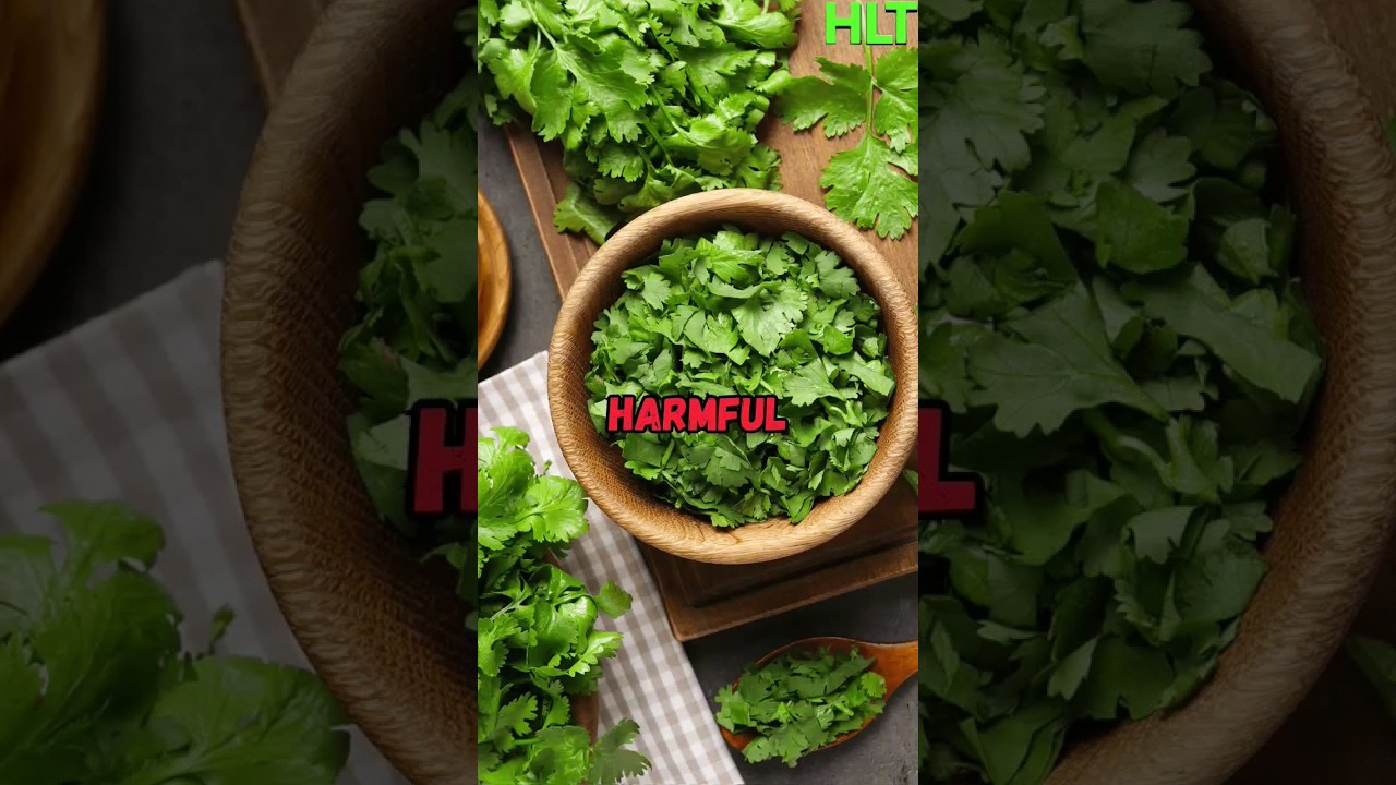 Польза для здоровья от использования кинзы 