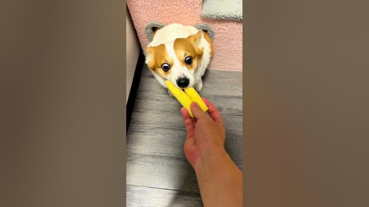 Little Cannon is not greedy at all. I know to leave a hole in the