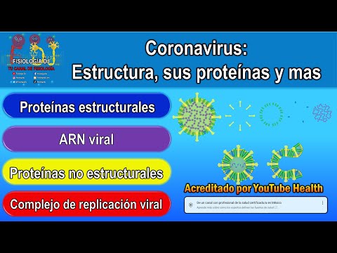 Vídeo: Proteína De Envoltura De Coronavirus: Conocimiento Actual