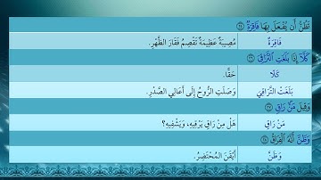 90- سورة القيامة - شرح غريب القرآن - تقديم عماد بن أنور الديب