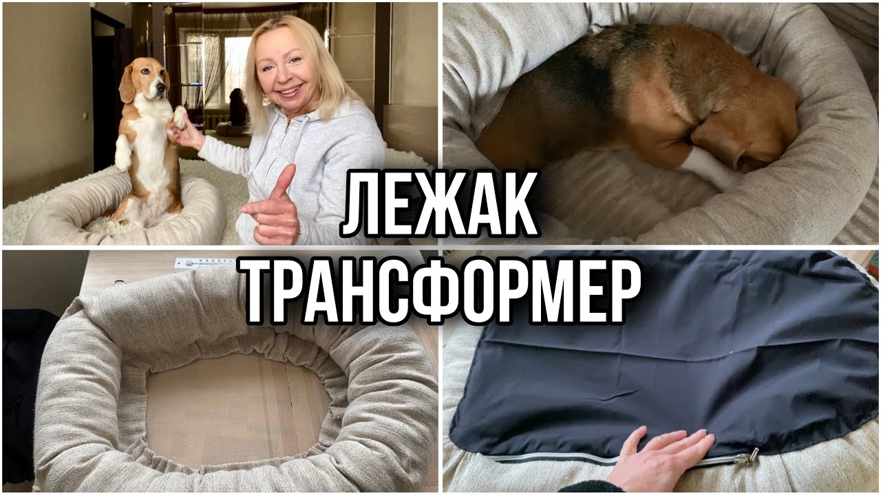 Як пошити лежак для собаки🙂Показую весь процес