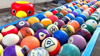 Marble Run ☆ Go and Come Guppy Course