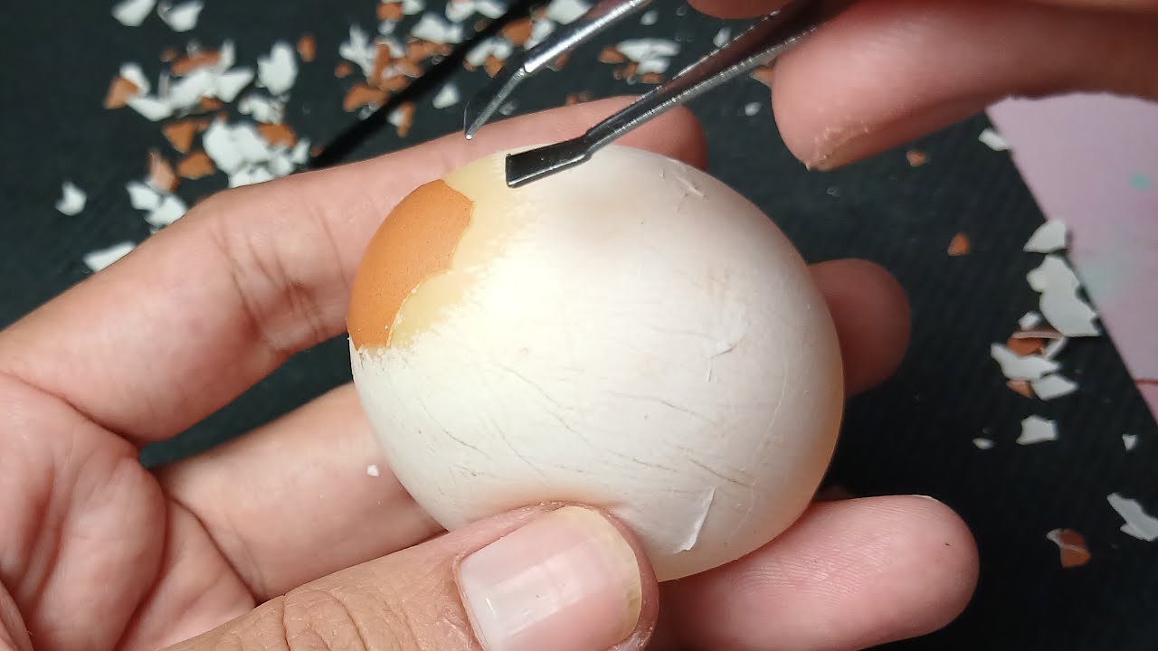 Sedikit Lagi! Mengupas Telur Mentah Jangan Sampai Pecah
