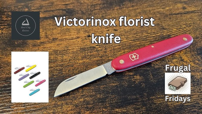 Floral Knife - Straight Folding Blade