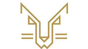 TIBIA how to make money and high level fast in 1 week