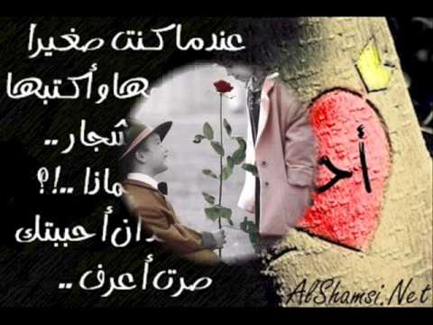 جاي ع بالي علي ديك ودومنيك Wmv