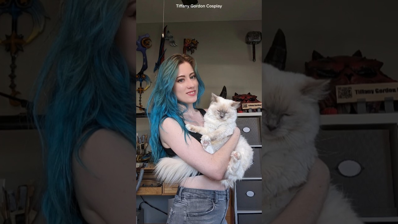 Happy birthday to my sweet Yuki, who's turning 2 today! #cats #ragdollcat #catvideo #catlovers