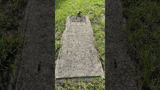 He Was More Than Just a Name on a Stone #history #respect #memorial