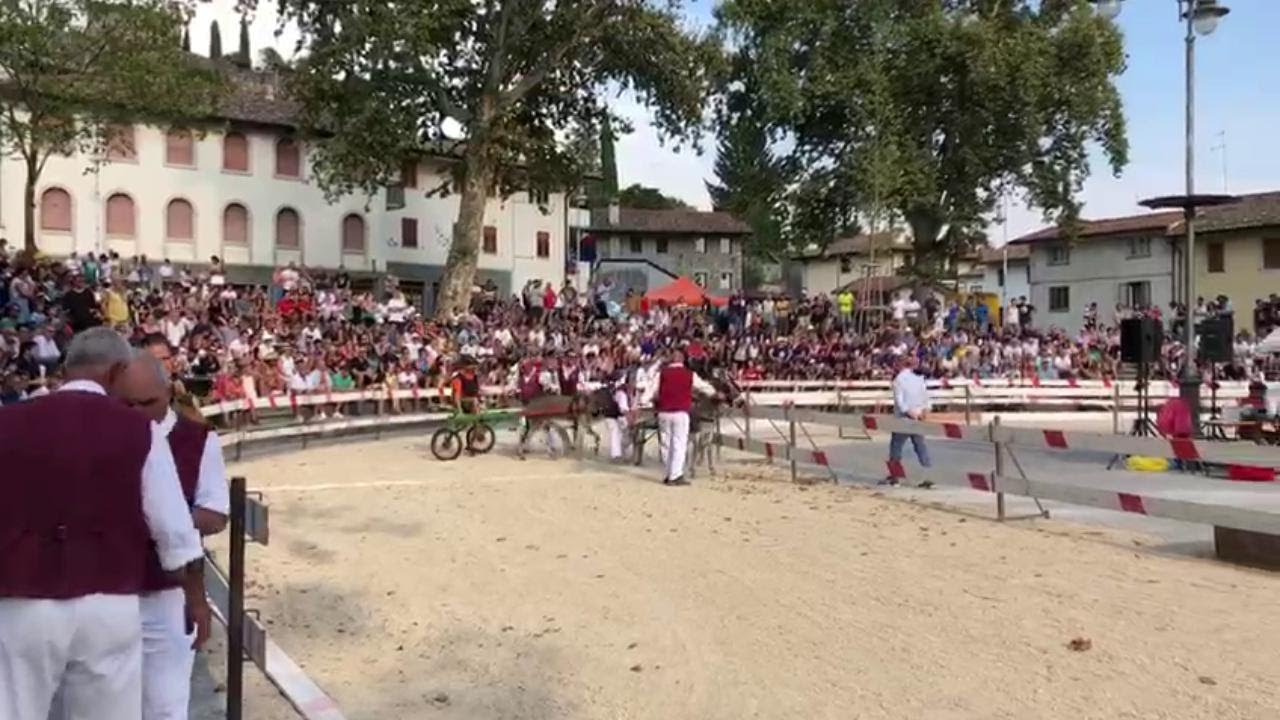 Fagagna, corsa degli asini: trionfa la mitica Beppina