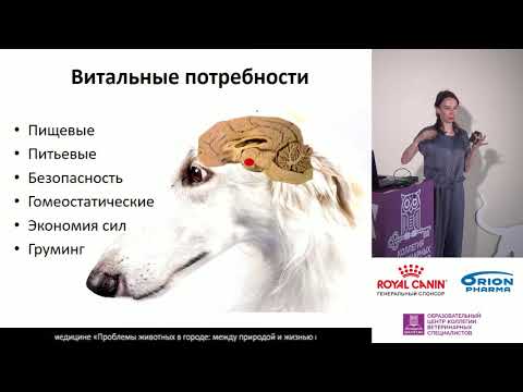 Коникова Л. С. - Нейрофизиология агрессии и страха