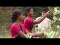 Documentaire france o sur les cures ayurvediques 2019