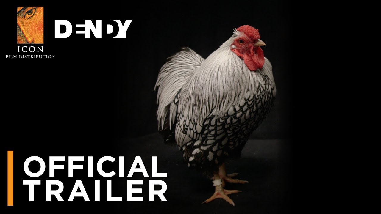 filmbar CHICKEN PEOPLE | Official Australian Trailer