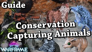 Warframe | Conservation/Capturing Animals In Orb Vallis & How To Get Floofs [Guide]