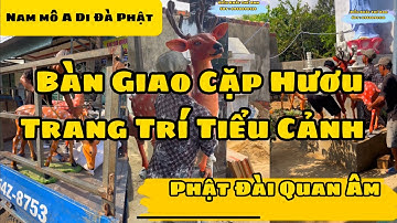 Hươu Nai Đắp Bằng Ximang - Điêu Khắc Thế Anh - Sdt : 0968890138 Thiết Kế - Thi Công Trên Toàn Quốc
