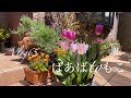 【暮らしvlog】春の庭仕事／今を大切に暮らす