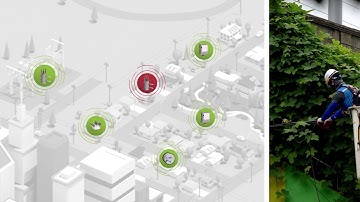 Revelo Apps: Anomaly Detection