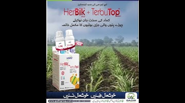 Boost Sugarcane Yield with Combo Pack HERBIK + TERBUTOP | Weed Control Solution #sugarcane