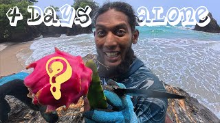 4 Days Solo Survival | DAY 3 & 4| No Food, Water or Shelter | What Fruit is this ? 🤔 - Senna Bay🇹🇹