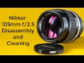 Nikkor 105mm f/2.5 Ais : Dust removal