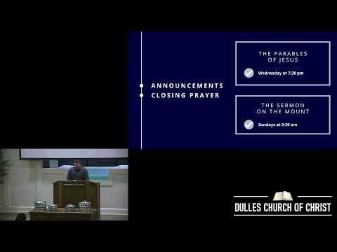 Video preview