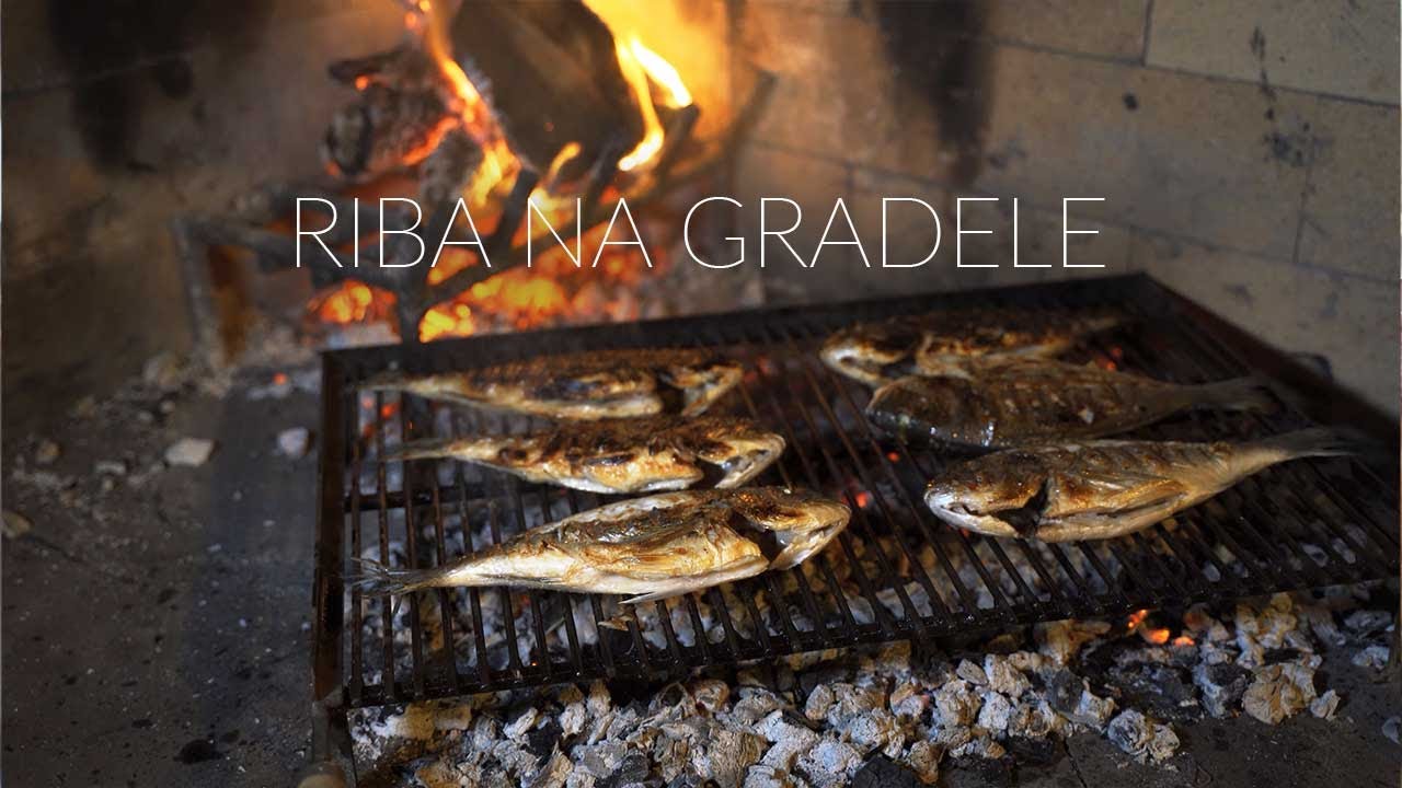 Gradba Na Riba RIBA NA GRADELE - YouTube