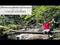 Visitando las PLANTAS de un INCREÍBLE BOSQUE TROPICAL HÚMEDO Colombiano.