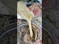Battery sugarcane juice machine | Petrol Sugarcane Juice Machine Demo In Kannada