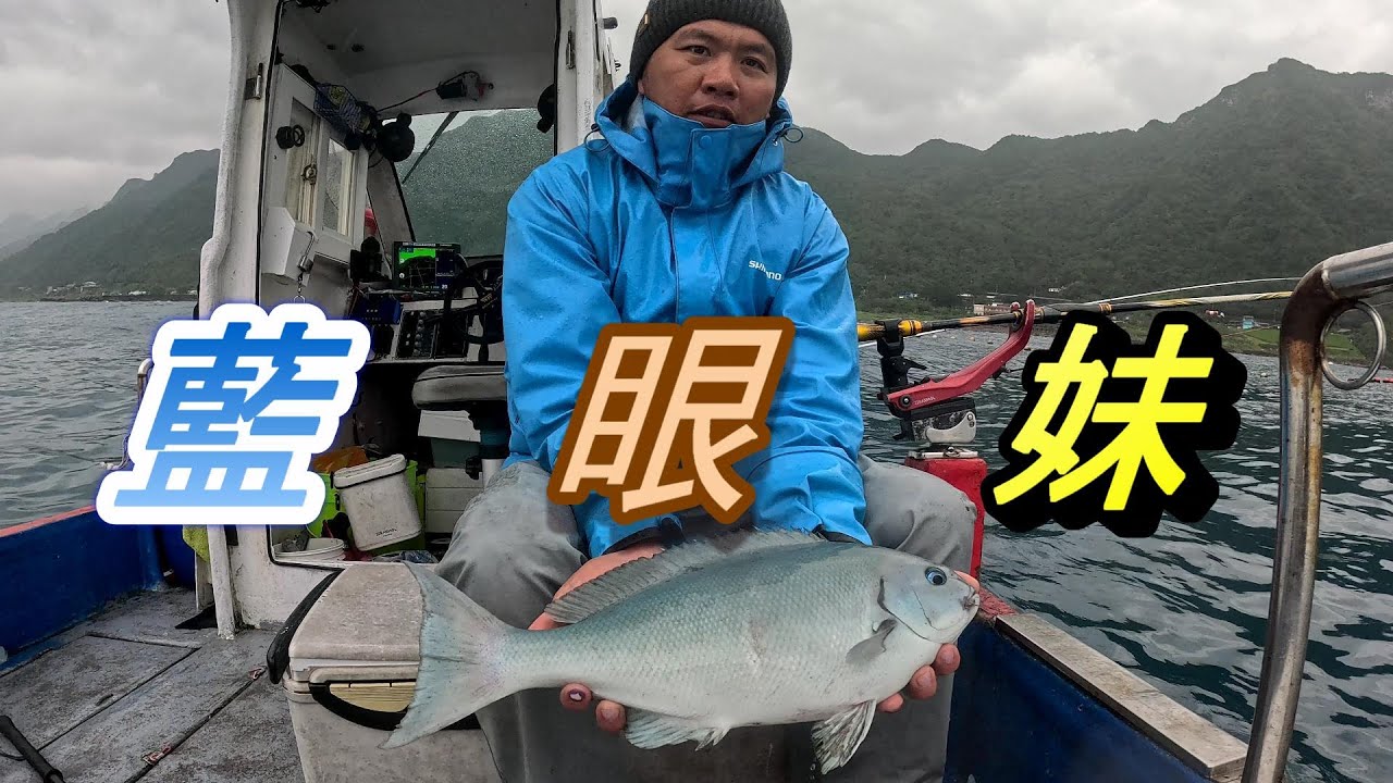 #宜蘭石城定置網船磯藍眼妹