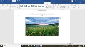 How to apply moderate frame white picture style in word
