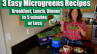 3 Easy Microgreens Recipes  Breakfast, Lunch & Dinner in 5 Minutes or Less / Indoor Gardening