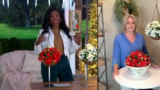 Bethlehem Lights Illuminated 13" Poinsettia Hanging Basket on QVC