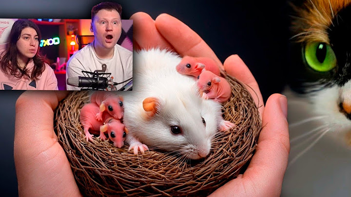СТЕПА ЗАБЕРЕМЕННЕЛ И РОДИЛ ДЕТЕЙ 🤷‍♂️ | РЕАКЦИЯ на SlivkiShow