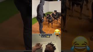 #trendingshorts #comedykin #comedyshow #views #funny #comedyskit #viralvideo #comedyshorts