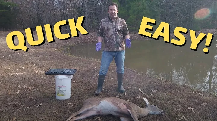 HOW TO Field Dress a Deer | Quick & Easy!!!
