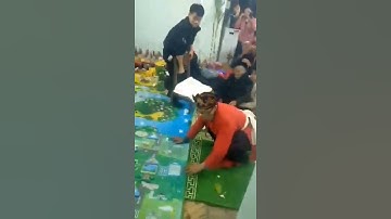 nghi lễ cấp sắc thầy tào dân tộc tày tại cao bằng