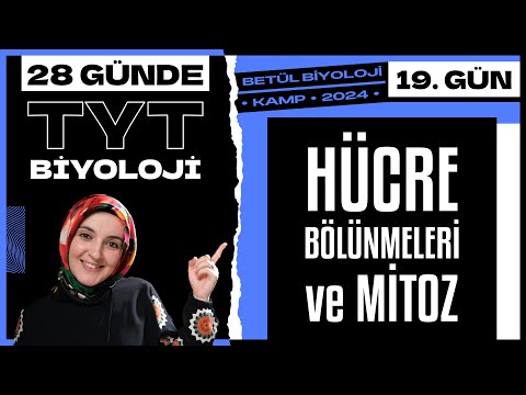 19) Hücre Bölünmeleri, Mitoz Bölünme | 10. Sınıf Biyoloji | 2024 TYT Biyoloji Kampı 19. Gün