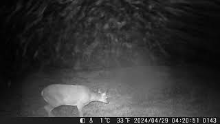 2024 — DSCF0143