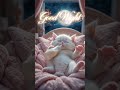 Cat good night#aiartshorts #funnyshorts#shortstrend #shortsvideo#cutecat #viral #shorts #shortsviral