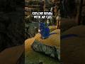 EXPLORE RIPARIA WITH MY CAT | PATH OF TITANS #pathoftitans #dinosaur  #pathoftitansgameplay