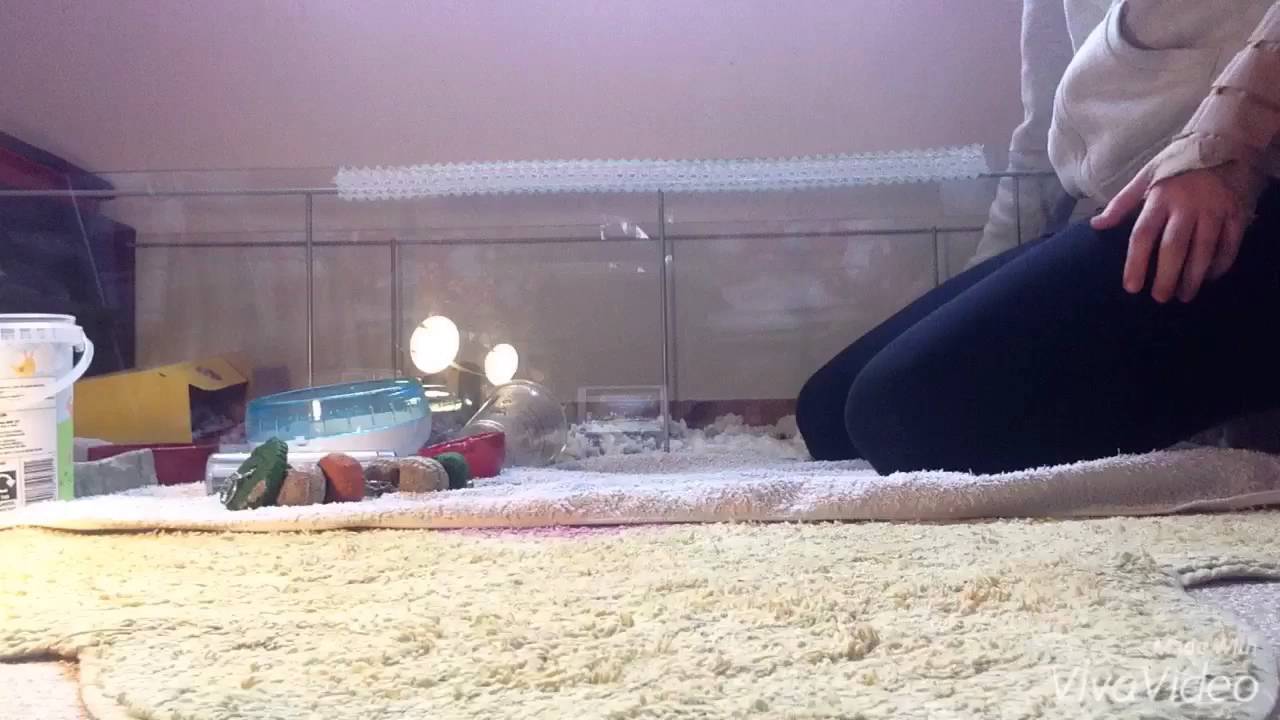 NEW CLEANING ROUTINE FOR MY DETOLF|| tips and tricks!