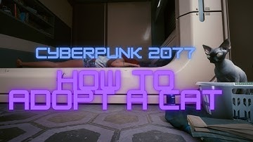 How to adopt cat Nibbles Cyberpunk 2077