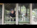 Completing the Bamboo Railing of the Play Area Located in the Forest and the Joy of Little Daughter