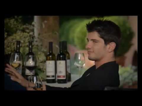 ღვინო ქიმერიონი - wine Qimerioni  4