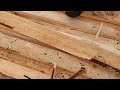Правильне зняття ОБЗОЛУ разом з камбієм (тонка прозора плівка між деревиною та корою)